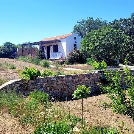 Villa The Pigeon House Potamos  Exterior foto