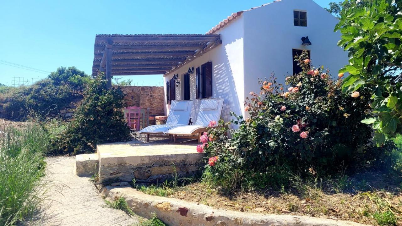 Villa The Pigeon House Potamos  Exterior foto